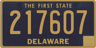 DE license plate 217607