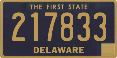 DE license plate 217833