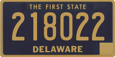 DE license plate 218022