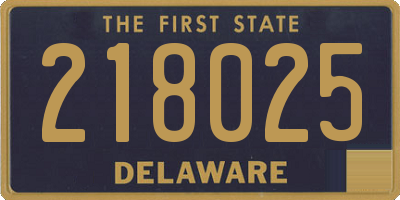 DE license plate 218025
