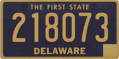 DE license plate 218073