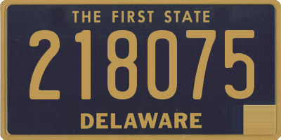 DE license plate 218075