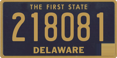 DE license plate 218081