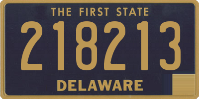DE license plate 218213