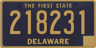 DE license plate 218231