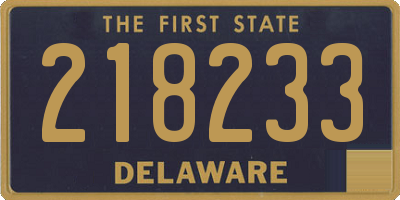 DE license plate 218233
