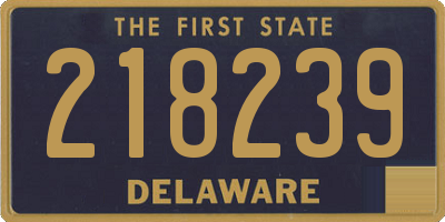 DE license plate 218239
