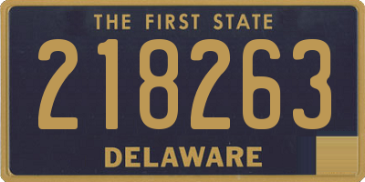 DE license plate 218263