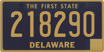 DE license plate 218290