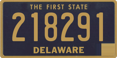 DE license plate 218291