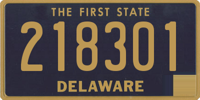 DE license plate 218301
