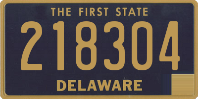 DE license plate 218304