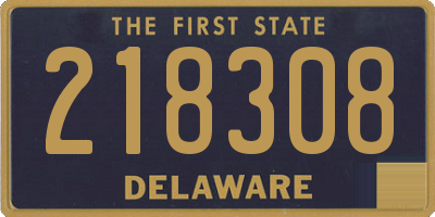 DE license plate 218308