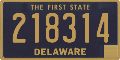 DE license plate 218314