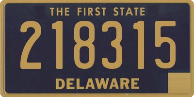 DE license plate 218315