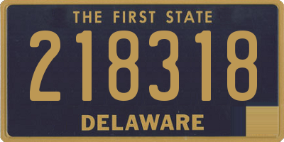 DE license plate 218318
