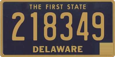 DE license plate 218349