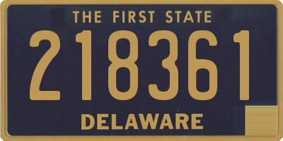 DE license plate 218361