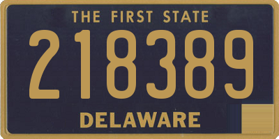 DE license plate 218389