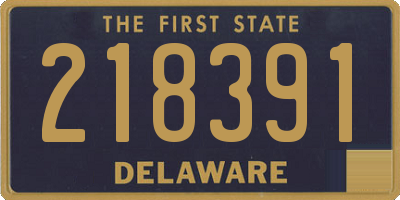 DE license plate 218391