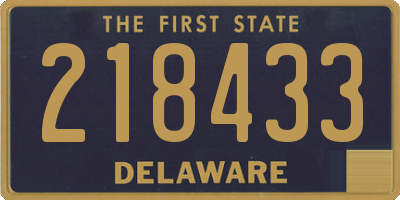 DE license plate 218433