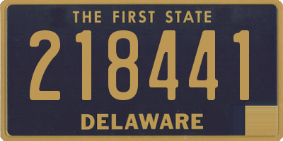 DE license plate 218441