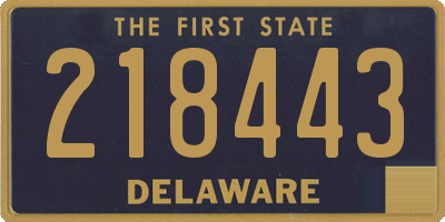 DE license plate 218443