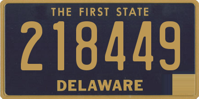 DE license plate 218449