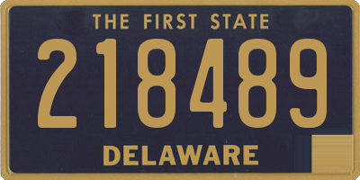 DE license plate 218489