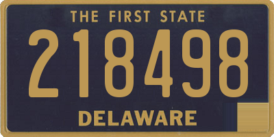 DE license plate 218498