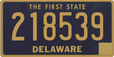 DE license plate 218539