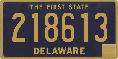 DE license plate 218613