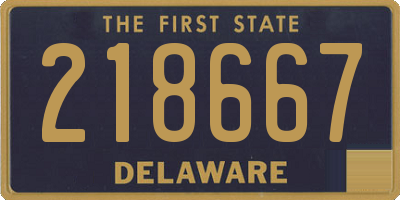 DE license plate 218667