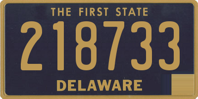 DE license plate 218733