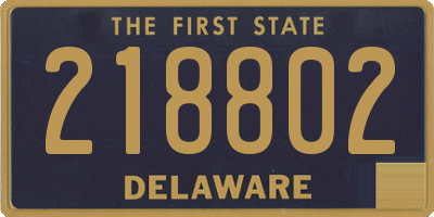 DE license plate 218802