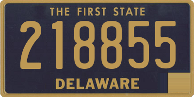 DE license plate 218855