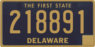 DE license plate 218891