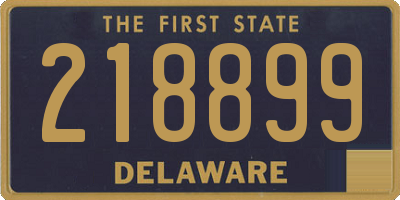 DE license plate 218899