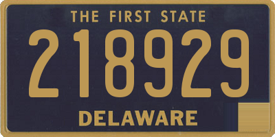 DE license plate 218929
