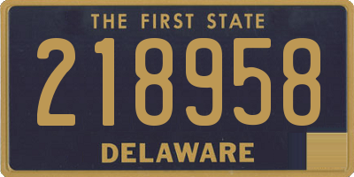 DE license plate 218958