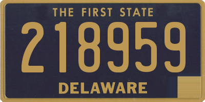 DE license plate 218959