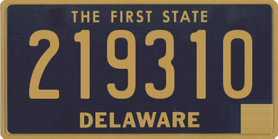 DE license plate 219310