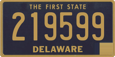 DE license plate 219599