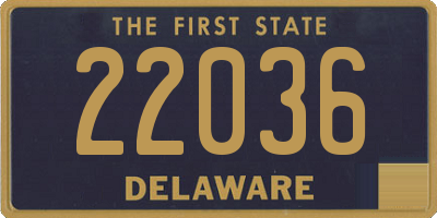 DE license plate 22036