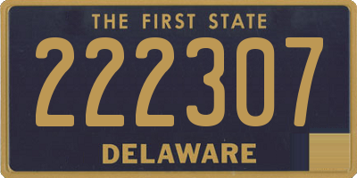 DE license plate 222307