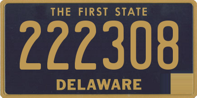 DE license plate 222308