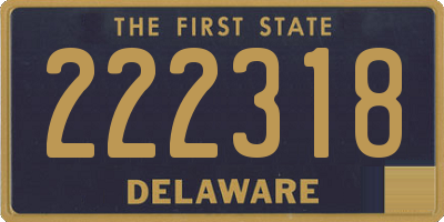 DE license plate 222318