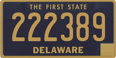 DE license plate 222389