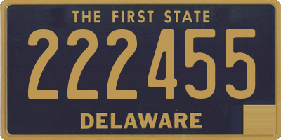 DE license plate 222455