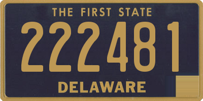 DE license plate 222481